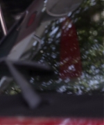 SPBR0132.jpg