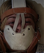 SPBR0030.jpg