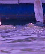 SPBR0141.jpg