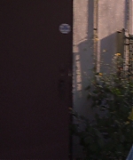 SPBR1005.jpg